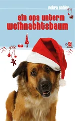 Petra Schier - Ein Opa unterm Weihnachtsbaum