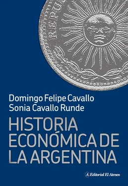 Domingo Felipe Cavallo Historia económica de la Argentina обложка книги