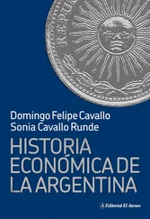Domingo Felipe Cavallo - Historia económica de la Argentina