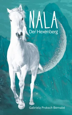 Gabriela Proksch Bernabé NALA - Der Hexenberg обложка книги