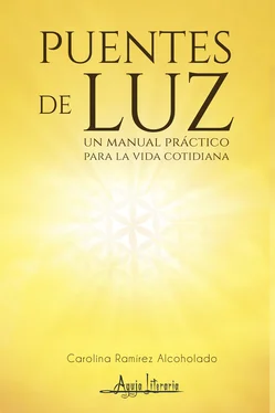 Carolina Ramírez Alcoholado Puentes de Luz обложка книги