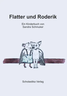 Sandra Schmuker Flatter und Roderik обложка книги