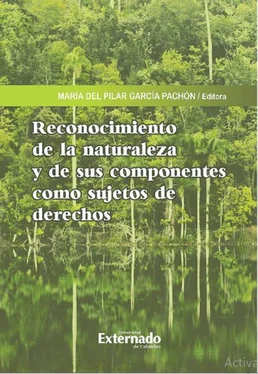 Javier Alfredo Molina Roa Reconocimiento de la naturaleza y de sus componentes como sujetos de derechos обложка книги