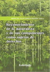 Javier Alfredo Molina Roa - Reconocimiento de la naturaleza y de sus componentes como sujetos de derechos