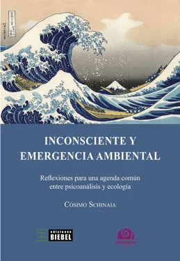 Cosimo Schinaia Inconsciente y emergencia ambiental обложка книги