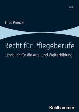Theo Kienzle Recht für Pflegeberufe обложка книги