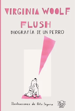 Virgina Woolf Flush обложка книги