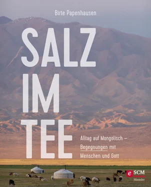 Birte Papenhausen Salz im Tee обложка книги