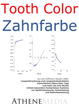 André Hoffmann Langzeittrocknung und Langzeitrehydratation menschlicher Zähne обложка книги