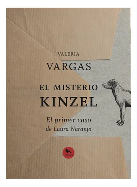 Valeria Vargas El misterio Kinzel обложка книги