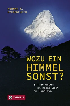 Norman G. Dyhrenfurth Wozu ein Himmel sonst? обложка книги