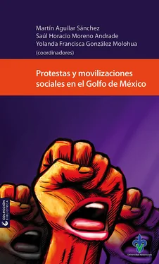 Неизвестный Автор Protestas y movilizaciones sociales en el Golfo de México обложка книги