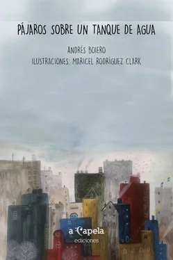 Andrés Boiero Pájaros sobre un tanque de agua обложка книги