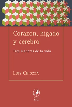 Luis Chiozza Corazón, hígado y cerebro обложка книги