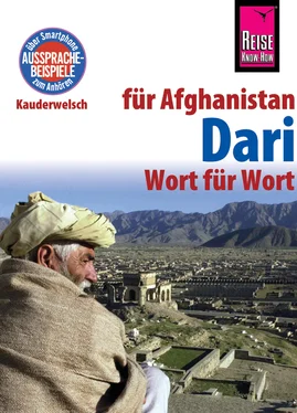 Florian Broschk Dari - Wort für Wort (für Afghanistan) обложка книги