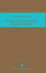 Esperanza López Parada - El alba de los minerales
