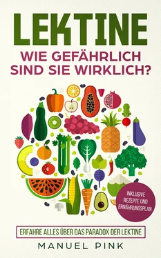 Manuel Pink Lektine-Wie gefährlich sind sie wirklich? обложка книги