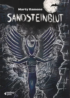 Marty Ramone Sandsteinblut - Elbsandstein Horror-Thriller (Hardcore) обложка книги