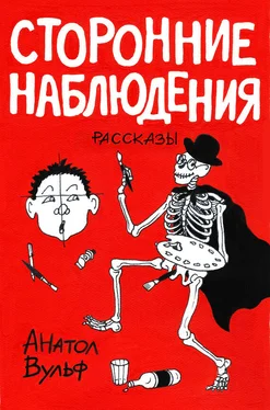 Анатол Вульф Сторонние наблюдения (сборник) обложка книги