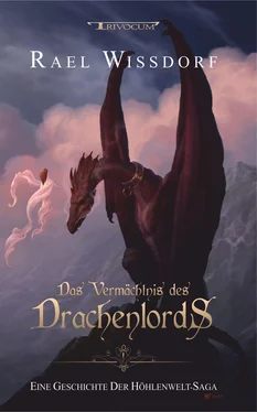 Rael Wissdorf Das Vermächtnis des Drachenlords обложка книги