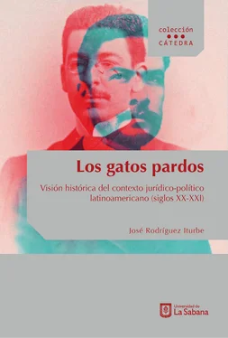 José Rodríguez Iturbe Los gatos pardos обложка книги