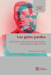 José Rodríguez Iturbe - Los gatos pardos