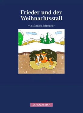 Sandra Schmuker Frieder und der Weihnachtsstall обложка книги