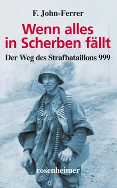 F. John-Ferrer Wenn alles in Scherben fällt обложка книги