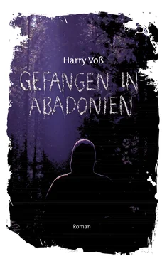 Harry Voß Gefangen in Abadonien обложка книги