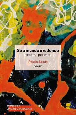 Paulo Scott Se o mundo é redondo e outros poemas обложка книги
