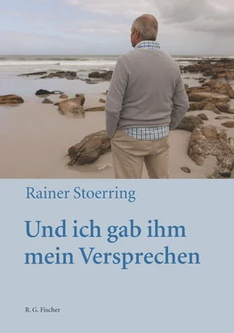 Rainer Stoerring Und ich gab ihm mein Versprechen обложка книги