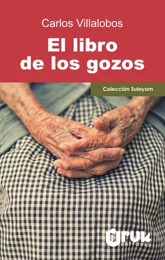Carlos Villalobos El libro de los gozos обложка книги