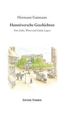 Hermann Gutmann Hannöversche Geschichten обложка книги