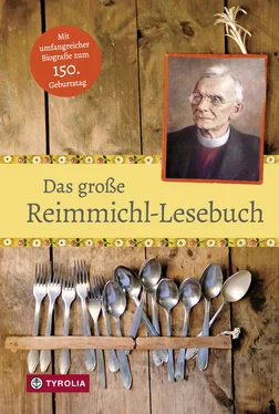 Reimmichl Das große Reimmichl-Lesebuch обложка книги