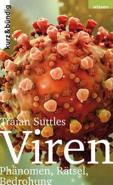 Traian Suttles VIREN обложка книги