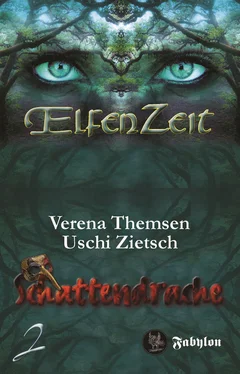 Verena Themsen Elfenzeit 2: Schattendrache обложка книги