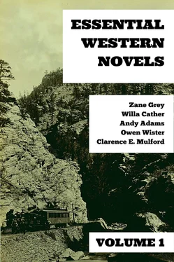 Zane Grey Essential Western Novels - Volume 1 обложка книги