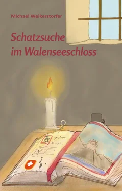 Michael Weikerstorfer Schatzsuche im Walenseeschloss обложка книги