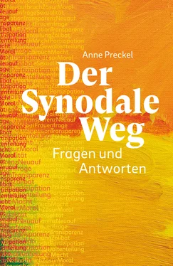 Anne Preckel Der Synodale Weg - E-Book обложка книги