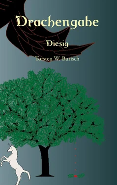 Torsten W. Burisch Drachengabe - Diesig обложка книги