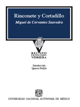 Miguel de Cervantes Saavedra Rinconete y Cortadillo обложка книги