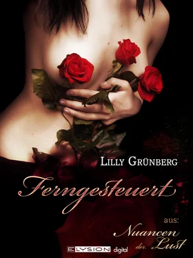 Lilly Grünberg Ferngesteuert обложка книги