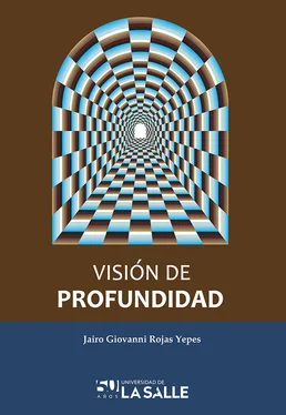 Jairo Giovanni Rojas Yepes Visión de profundidad обложка книги