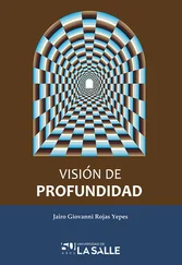 Jairo Giovanni Rojas Yepes - Visión de profundidad