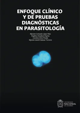Myriam Consuelo López Páez Enfoque clínico y de pruebas diagnósticas en parasitología обложка книги