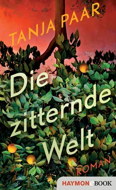 Tanja Paar Die zitternde Welt обложка книги