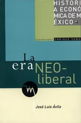 José Luis Ávila - La era neoliberal