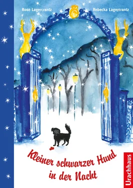 Rose Lagercrantz Kleiner schwarzer Hund in der Nacht обложка книги