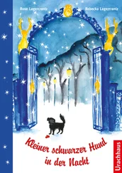 Rose Lagercrantz - Kleiner schwarzer Hund in der Nacht