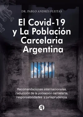 Pablo Andrés Fleitas El Covid-19 y la población carcelaria argentina обложка книги